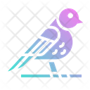 پیش‌نمایش فایل ornithology-2797743 از پک بهار