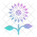 پیش‌نمایش فایل sunflower-2797748 از پک بهار