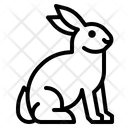 پیش‌نمایش فایل rabbit-2797717 از پک بهار