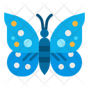 پیش‌نمایش فایل butterfly-2797664 از پک بهار