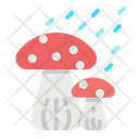 پیش‌نمایش فایل mushroom-2797647 از پک بهار