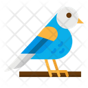 پیش‌نمایش فایل ornithology-2797667 از پک بهار