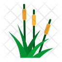 پیش‌نمایش فایل reed-2797641 از پک بهار