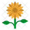 پیش‌نمایش فایل sunflower-2797636 از پک بهار