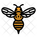 پیش‌نمایش فایل bee-2797631 از پک بهار