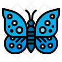 پیش‌نمایش فایل butterfly-2797627 از پک بهار