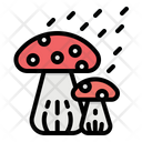 پیش‌نمایش فایل mushroom-2797610 از پک بهار