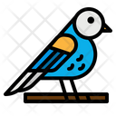 پیش‌نمایش فایل ornithology-2797630 از پک بهار