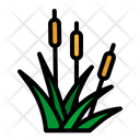 پیش‌نمایش فایل reed-2797604 از پک بهار