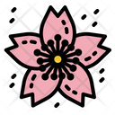 پیش‌نمایش فایل sakura-2797603 از پک بهار