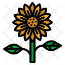 پیش‌نمایش فایل sunflower-2797599 از پک بهار