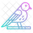 پیش‌نمایش فایل ornithology-2797668 از پک بهار