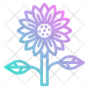 پیش‌نمایش فایل sunflower-2797673 از پک بهار