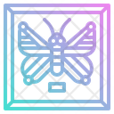 پیش‌نمایش فایل entomological-photo-2802581 از پک فعالیت خانه