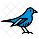 پیش‌نمایش فایل bird-2802697 از پک فروشگاه حیوانات خانگی