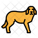 پیش‌نمایش فایل dog-2802684 از پک فروشگاه حیوانات خانگی
