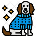 پیش‌نمایش فایل dog-clothe-2802687 از پک فروشگاه حیوانات خانگی