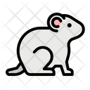 پیش‌نمایش فایل hamster-2802677 از پک فروشگاه حیوانات خانگی