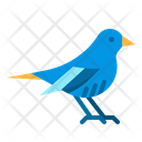پیش‌نمایش فایل bird-2802733 از پک فروشگاه حیوانات خانگی