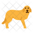 پیش‌نمایش فایل dog-2802720 از پک فروشگاه حیوانات خانگی