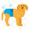پیش‌نمایش فایل dog-diaper-2802721 از پک فروشگاه حیوانات خانگی