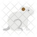 پیش‌نمایش فایل hamster-2802713 از پک فروشگاه حیوانات خانگی