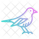 پیش‌نمایش فایل bird-2802735 از پک فروشگاه حیوانات خانگی