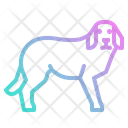 پیش‌نمایش فایل dog-2802758 از پک فروشگاه حیوانات خانگی
