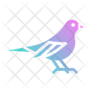 پیش‌نمایش فایل bird-2802810 از پک فروشگاه حیوانات خانگی