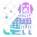 پیش‌نمایش فایل dog-clothe-2802836 از پک فروشگاه حیوانات خانگی