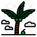 پیش‌نمایش فایل coconut-tree-2802869 از پک تابستان و زمان