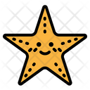 پیش‌نمایش فایل starfish-2802855 از پک تابستان و زمان
