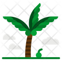 پیش‌نمایش فایل coconut-tree-2802906 از پک تابستان و زمان