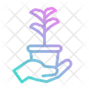 پیش‌نمایش فایل plant-2805170 از پک خیریه