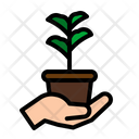 پیش‌نمایش فایل plant-2805096 از پک خیریه