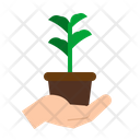 پیش‌نمایش فایل plant-2805133 از پک خیریه