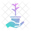 پیش‌نمایش خیریه
