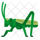 پیش‌نمایش فایل grasshopper-3387837 از پک بلایای طبیعی