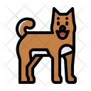 پیش‌نمایش فایل dog-3552674 از پک ژاپن ژانویه