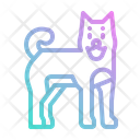پیش‌نمایش فایل dog-3552753 از پک ژاپن ژانویه
