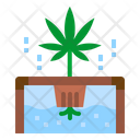 پیش‌نمایش فایل marijuana-plant-3554577 از پک شاهدانه