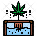 پیش‌نمایش فایل marijuana-plant-3554541 از پک شاهدانه