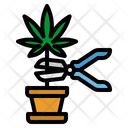 پیش‌نمایش فایل weed-harvest-3554552 از پک شاهدانه