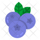 پیش‌نمایش فایل blueberry-3922137 از پک رژیم غذایی سالم