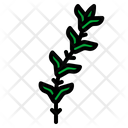 پیش‌نمایش فایل rosemary-3921228 از پک پیکنیک باربیکیو