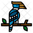 پیش‌نمایش فایل hornbill-3946882 از پک هاوایی