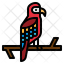 پیش‌نمایش فایل macaws-3946883 از پک هاوایی