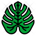 پیش‌نمایش فایل monstera-3946885 از پک هاوایی