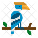 پیش‌نمایش فایل hornbill-3946772 از پک هاوایی