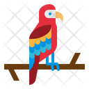پیش‌نمایش فایل macaws-3946773 از پک هاوایی